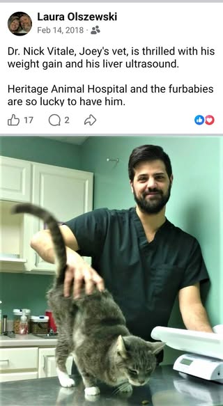 Dr. Nick Vitale Obituary: Beloved Veterinarian and Practice Owner Dies After Courageous Battle With Cancer